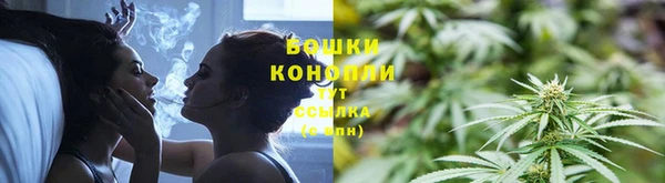 гидра Дмитриев
