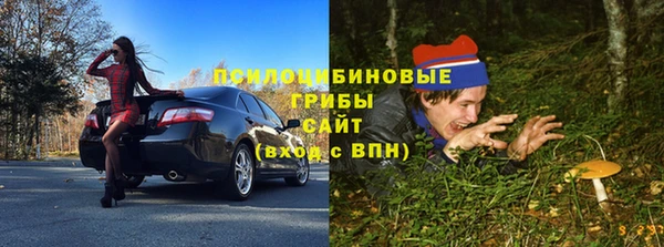 ешки Ельня