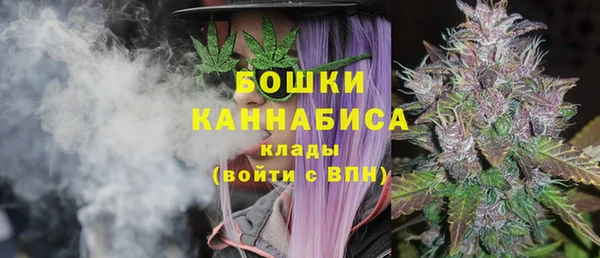 гидра Дмитриев