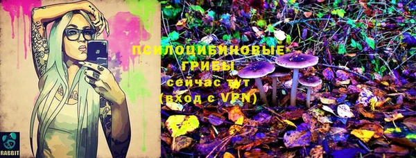 гидра Дмитриев