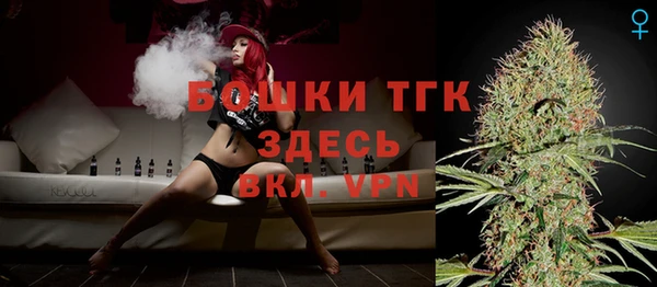 гидра Дмитриев